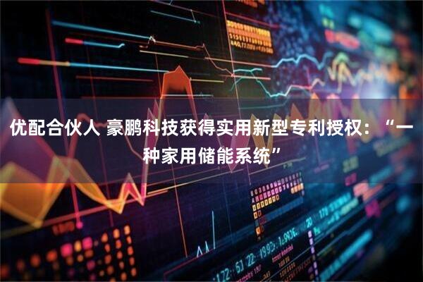 优配合伙人 豪鹏科技获得实用新型专利授权：“一种家用储能系统”