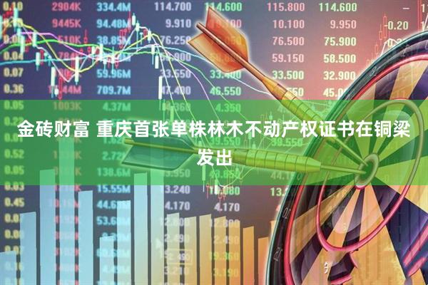 金砖财富 重庆首张单株林木不动产权证书在铜梁发出